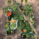 Casa De Barro Em Fazenda Regenerativa Na Bahia