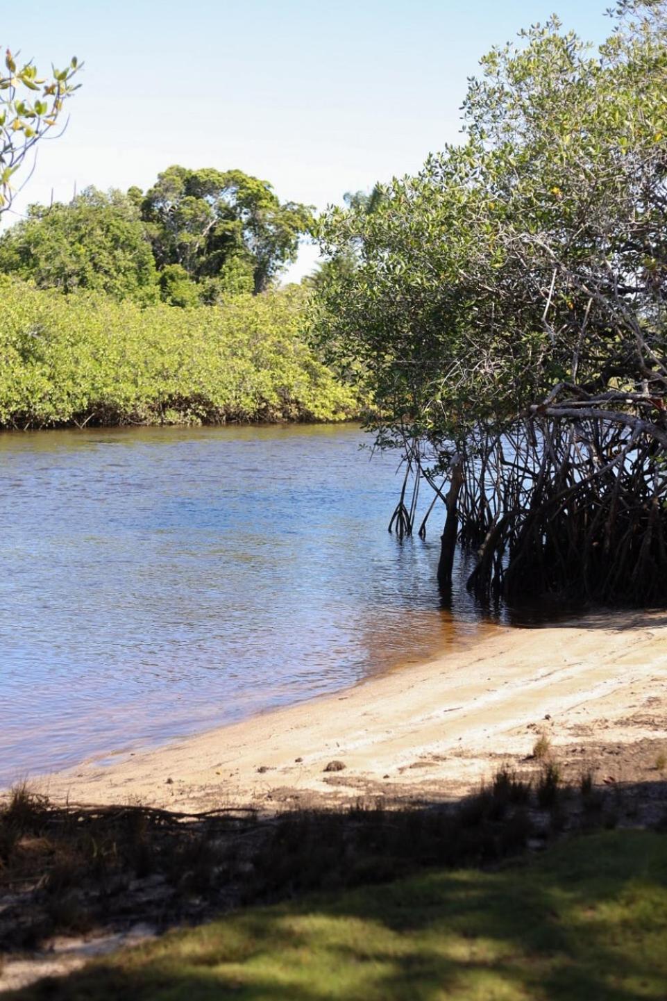 Casa De Barro Em Fazenda Regenerativa Na Bahia Casa de férias *